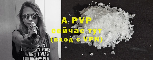 spice Арсеньев